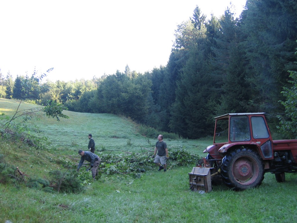 Vzdrževanje pasišč za divjad